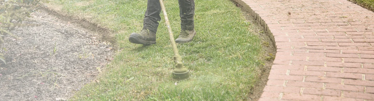 CareNClean landscaping services
