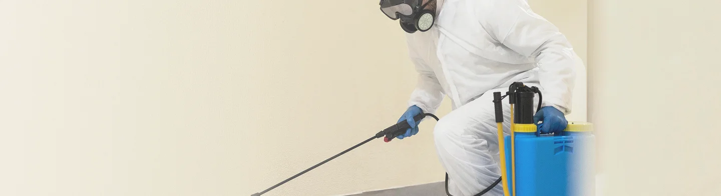 CareNClean termite control